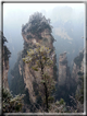 foto Parco forestale nazionale Zhangjiajie